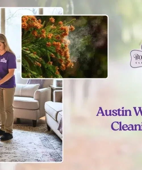 Winter Cleaning Tips