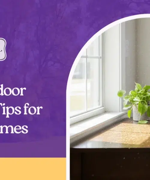 Spring Indoor Air Quality Tips for Austin Homes
